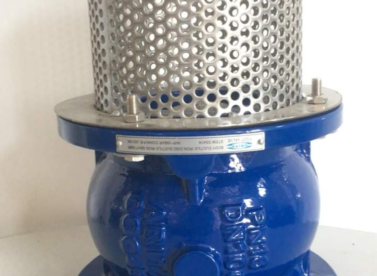 VAN CHÂN SẮT DỄ DÀNG (FLANGE END) JIS10K/ARITA-DI-FOOT-VALVE-JIS10K-FE-AFV-FE