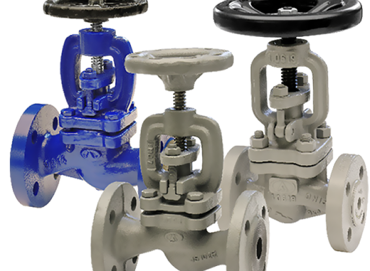 Van Cầu Gland Packing