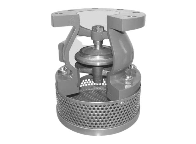 RỌ BƠM INOX 304 – 316 | DN40 – DN500 - MẶT BÍCH - LẮP REN 