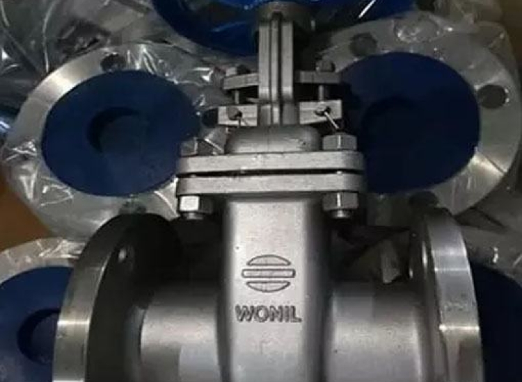 VAN CỔNG INOX (Stainless Steel Gate Valve)