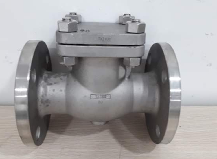 Van một chiều xoay Arita CI JIS 10K/ARITA-CI-SWING-CHECK-VALVE-JIS10K-ARV-SWJ74820