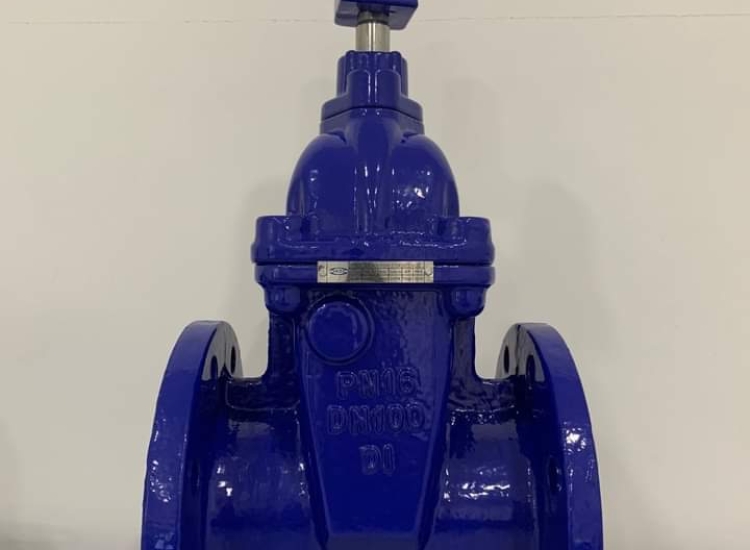 VAN CỔNG TY CHÌM NẮP CHỤP ARITA | MALAYSIA | PN16/ARITA-DI-RESILIENT-SEATED-GATE-VALVE-PN16-DIG-NR-PN16-CAP-TOP