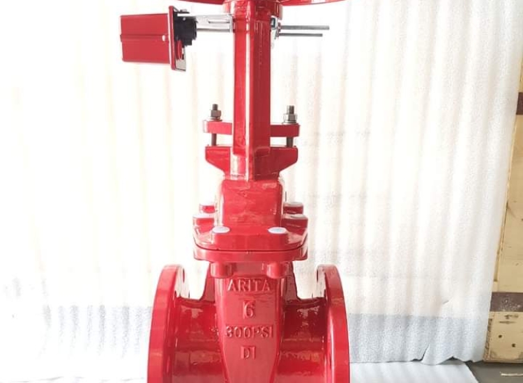 VAN CỔNG TY NỔI TIÊU CHUẨN UL-FM | ARITA | UL-FM-GATE VALVE-RS-FLANGE-END-AFF-RGA-33FF-300